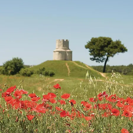 Family Oasis Casa vacanze Nin